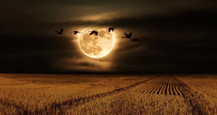 Volle Maan Uitleg: Ontstaan, Afstand en Getijden