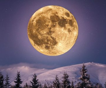 Volle Maan Betekenis: Energie, Rituelen En Manifesteren